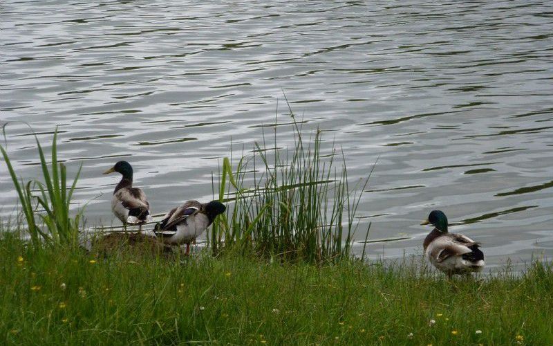 Le lac de l’Uby